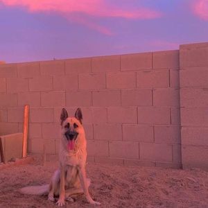 Meet your Posher, Karla